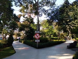 taman kota di Surabaya, Taman Lansia