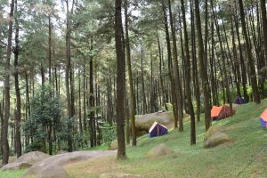 Hutan Pinus Gunung Pancar, tempat wisata di sekitar Sentul