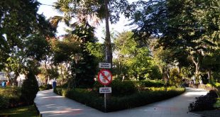 taman kota di Surabaya, Taman Lansia